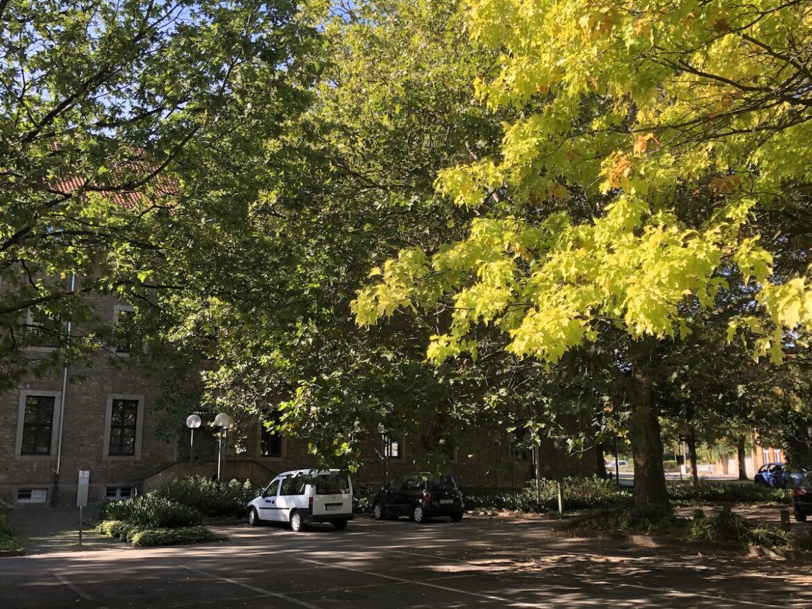 Parkplatz Dominikanerkloster