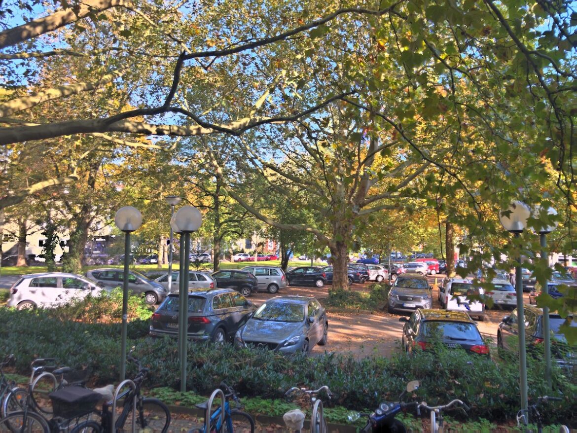 Blick vom Dominikanerkloster auf die geplante Baufläche