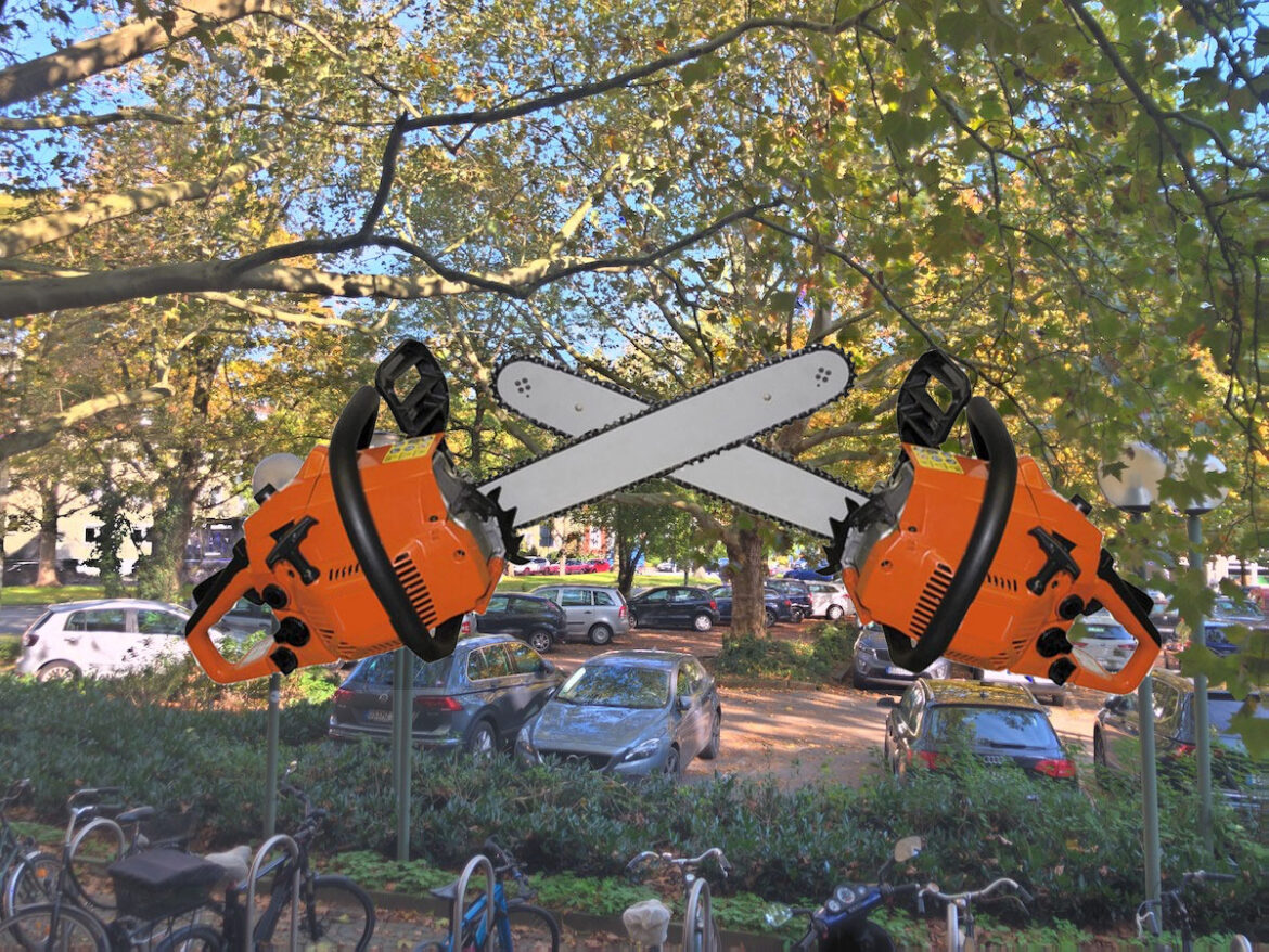 Kettensägen bedrohen den Klostergarten