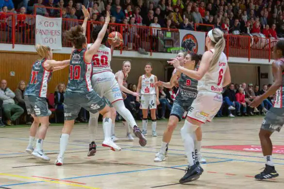 9N3A9137 Motivierte OSC-Halle reichte Osnabrücker Panthers am Ende doch nicht gegen Wasserburg