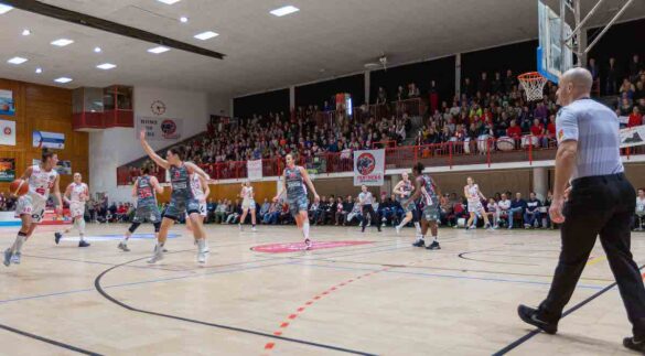 9N3A9309 Motivierte OSC-Halle reichte Osnabrücker Panthers am Ende doch nicht gegen Wasserburg