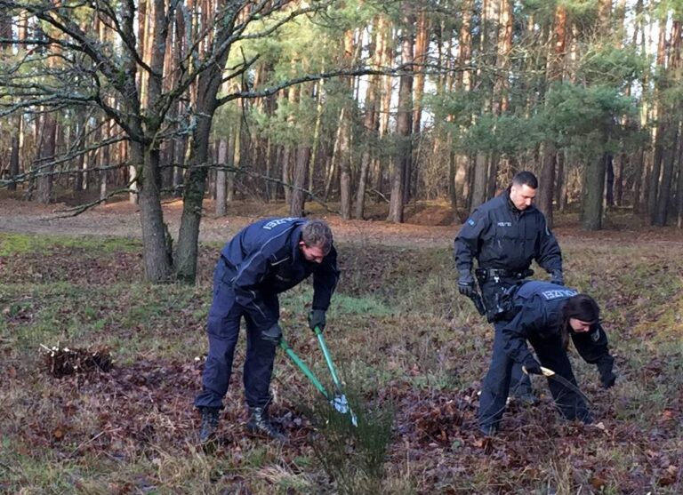 Tatkräftig halfen 150 Polizeianwärter des Bundespolizeiaus- und Fortbildungszentrums Bamberg bei der Pflege und Instandhaltung der DBU-Naturerbefläche Hainberg. ©Severin Lechner, Bundesforstbetrieb Reußenberg