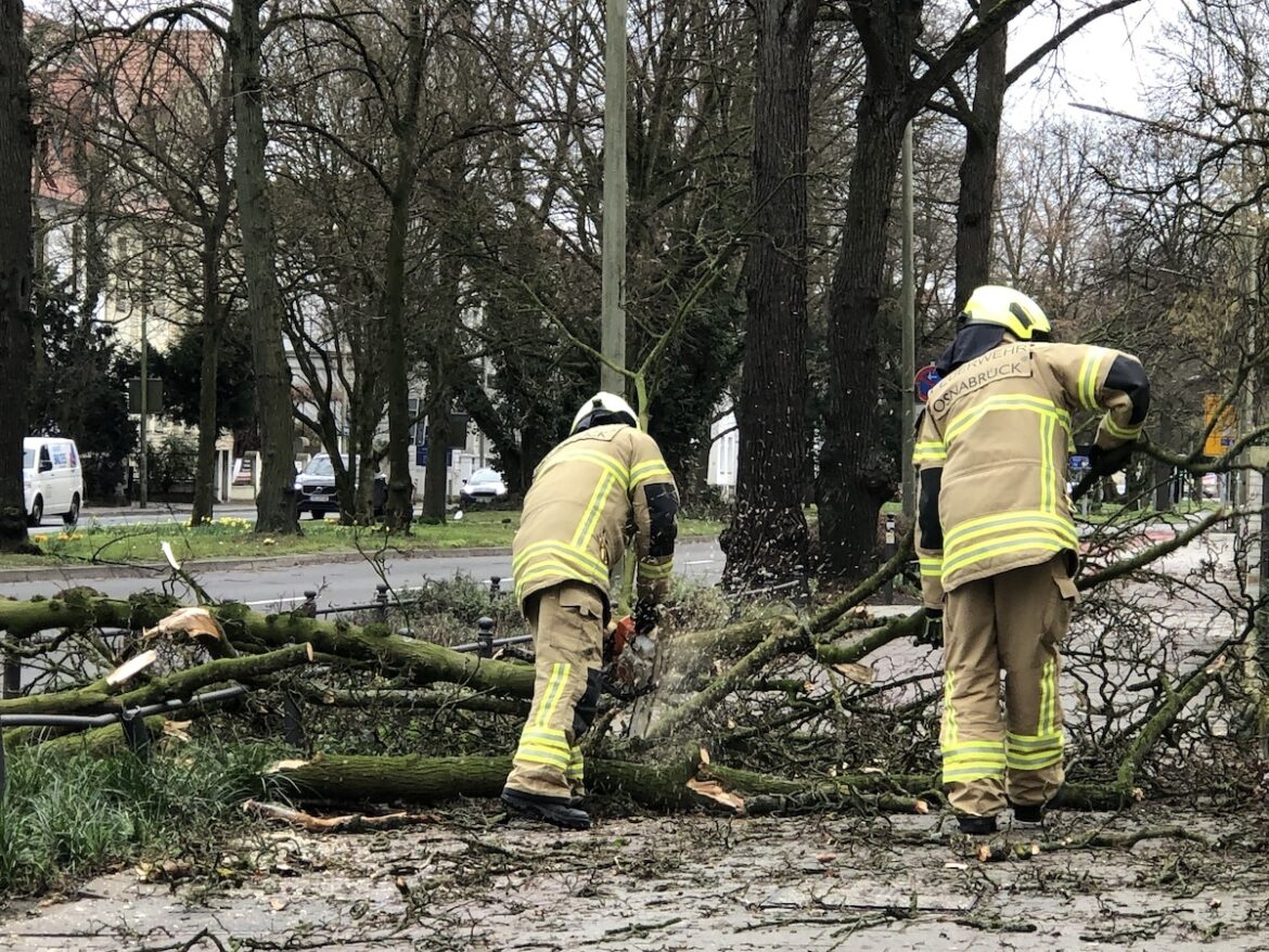 Feuerwehr Osnabrück im Sturmeinsatz, Sturm "Sabine"