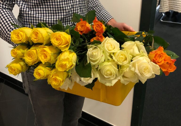 Blumen zum Weltfrauentag