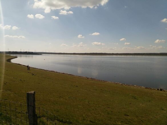 1ad673df-eb4f-43ea-bf3d-379278206b95 Beobachtungen am Alfsee, einem Naherholungsgebiet ohne Erholungssuchende