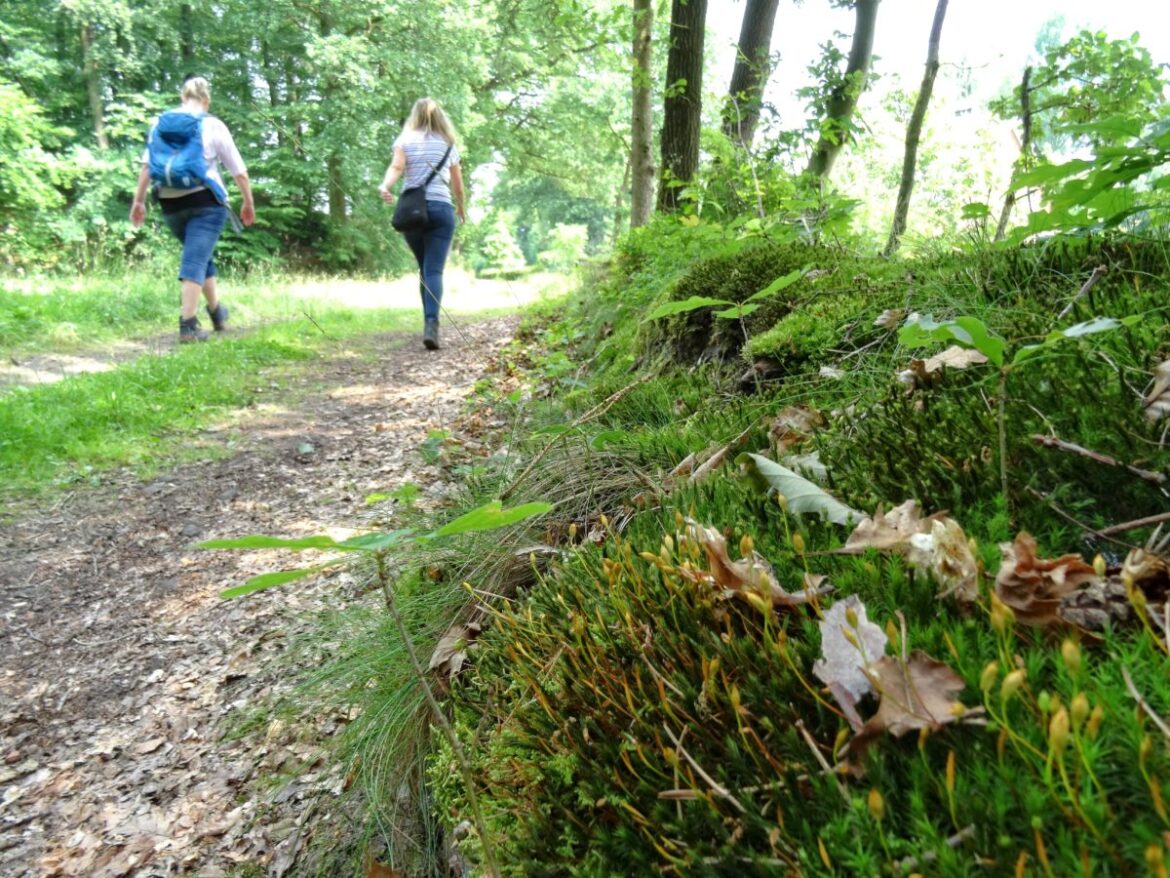 Wanderweg im Geopark. / Foto: TERRA.vita