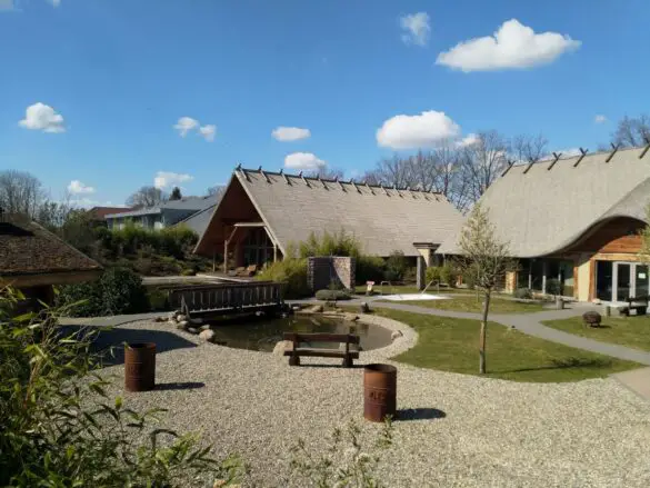 a60c166f-62e9-437c-b6f3-0f7fb69b415b Beobachtungen am Alfsee, einem Naherholungsgebiet ohne Erholungssuchende