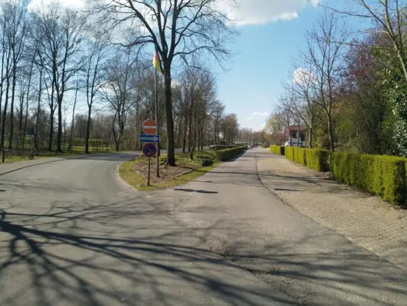 cb394c10-0b69-4aff-b988-80ed4e52dc7b Beobachtungen am Alfsee, einem Naherholungsgebiet ohne Erholungssuchende