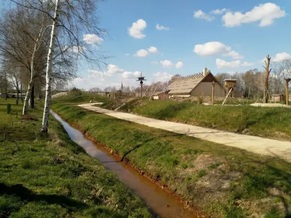 dff25a3d-ae8e-40a5-ac78-dcab370e8a7f Beobachtungen am Alfsee, einem Naherholungsgebiet ohne Erholungssuchende