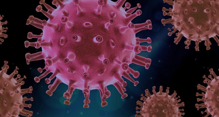 Symbol-Bild Corona-Virus