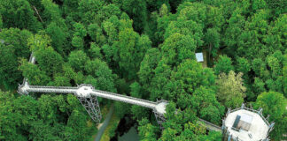 Baumwipfelpfad, Bad Iburg, Wald