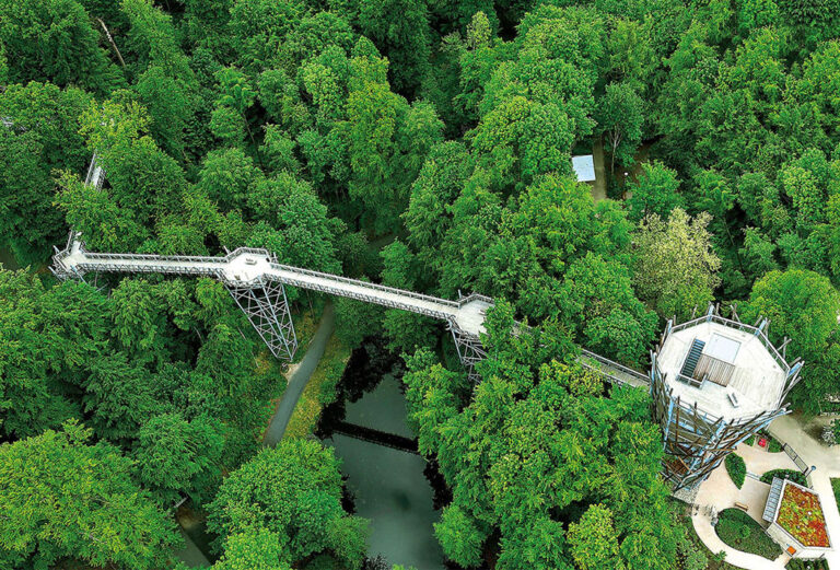 Baumwipfelpfad, Bad Iburg, Wald
