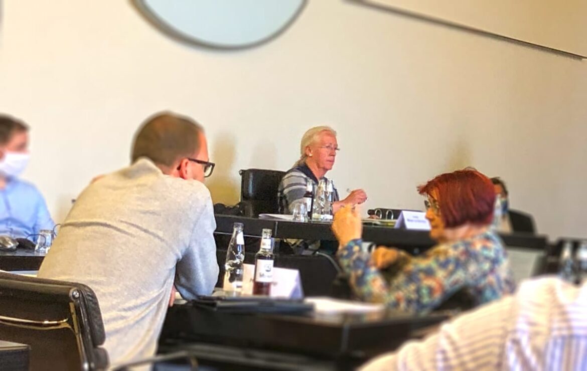 FDP, CDU, Linkspartei... ohne Maske