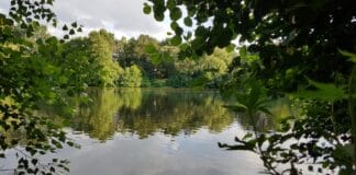 Symbolfoto Gewässer / Foto: Tatjana Rykov