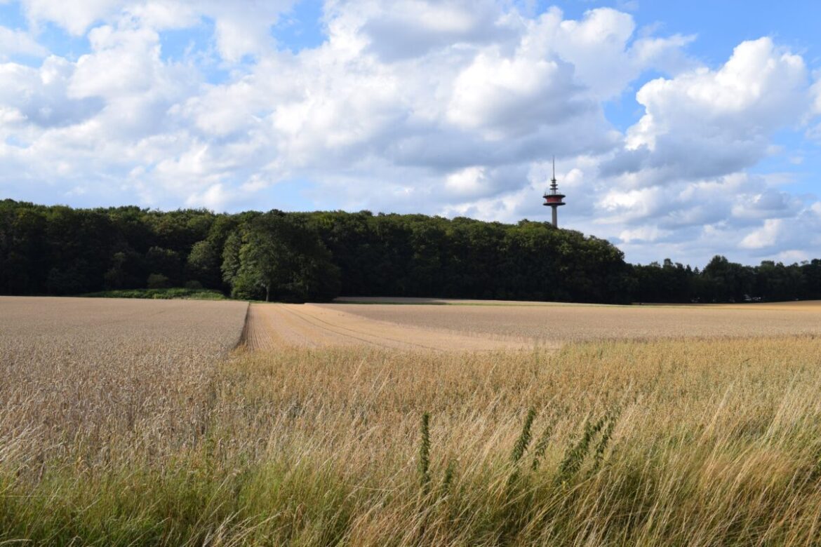 Schinkelturm