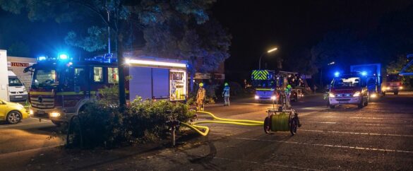 Bild 17.08.20 um 12.16 (1) v