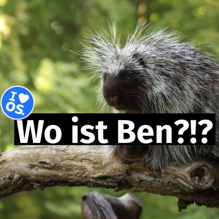 Baumstachler Ben