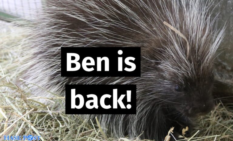 Baumstachler Ben, Foto: Zoo Osnabrück