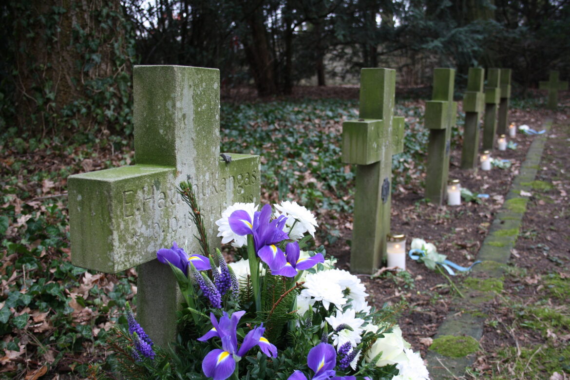 Johannisfriedhof / Foto: OSB, Katrin Hofmann