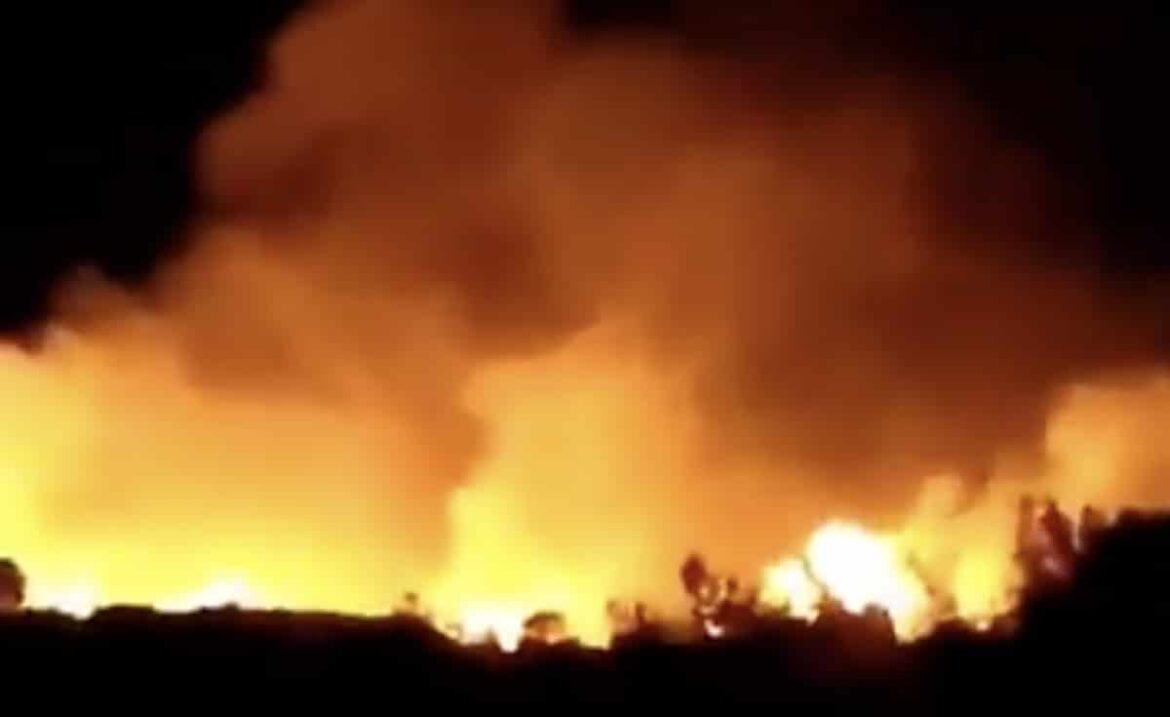 Feuer auf Samos, Screenshot: Twitter