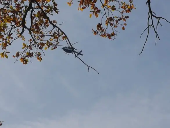 Vier Wohnwagen brannten: Polizei- und Feuerwehreinsatz am Campingplatz Ludwigsee