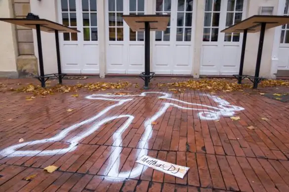 _RX66088 Der Umriss von Matthias Wellbrock (DJ, Alando)