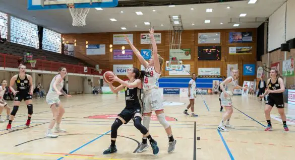 D1X29182 Osnabrücker GiroLive-Panthers gewinnen mit großartiger Mannschaftsleistung gegen TK Hannover