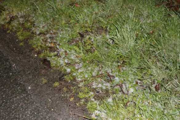 Zwei Unfälle gleichzeitig auf Autobahn A33 im Landkreis Osnabrück