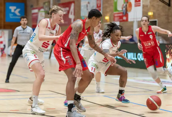 Im letzten Viertel verloren: Herner TC gewinnt gegen GiroLive-Panthers Osnabrück mit 74: 68