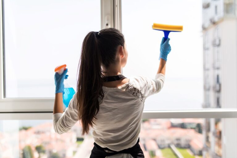 Fensterputzen