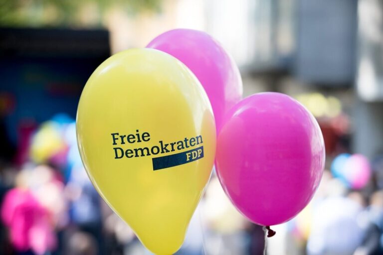 FDP (Symbolbild) / pixabay