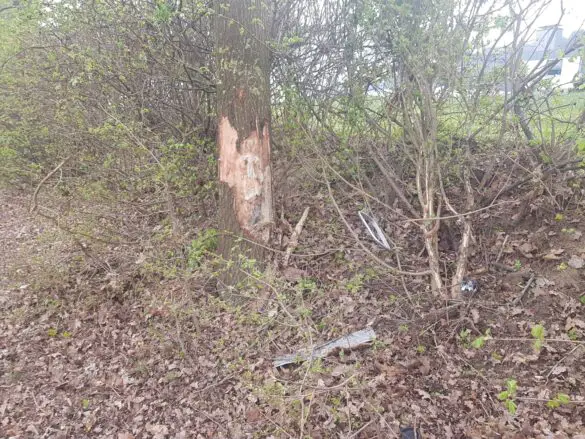 Auto kommt in Bohmte von Landstraße ab, dreht sich mehrfach und prallt gegen Baum