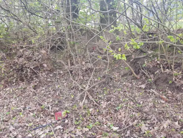 Auto kommt in Bohmte von Landstraße ab, dreht sich mehrfach und prallt gegen Baum