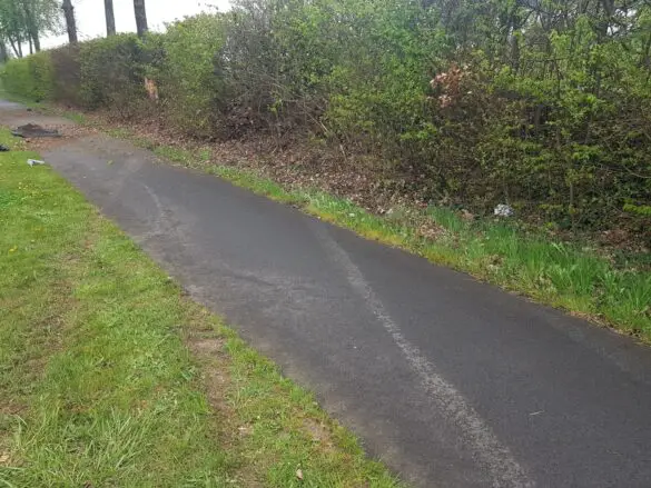 Auto kommt in Bohmte von Landstraße ab, dreht sich mehrfach und prallt gegen Baum