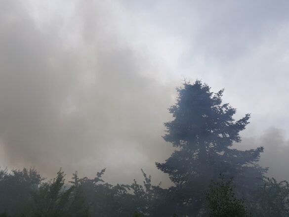 2021-07-16_Feuer-Dachstuhl-Wohnhausbrand-Hagen-LK-Osnabrueck-005 Großes Wohnhaus brennt in Hagen a.T.W. im Landkeis Osnabrück