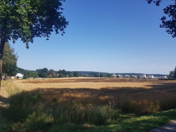 Feuer auf Stoppelfeld bedroht Bauernhof und Wald in Belm