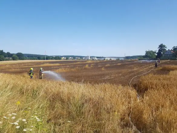 Feuer auf Stoppelfeld bedroht Bauernhof und Wald in Belm