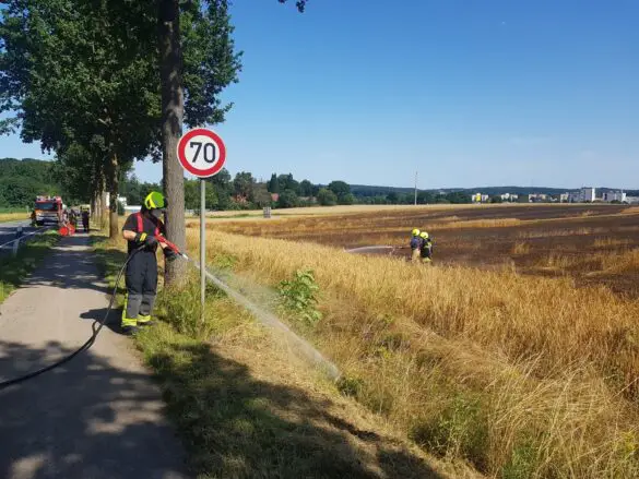Feuer auf Stoppelfeld bedroht Bauernhof und Wald in Belm