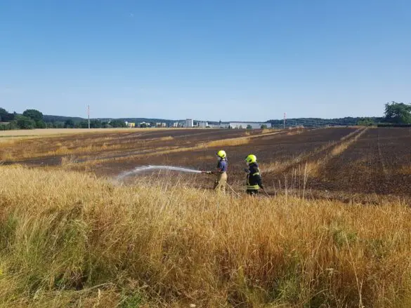 Feuer auf Stoppelfeld bedroht Bauernhof und Wald in Belm