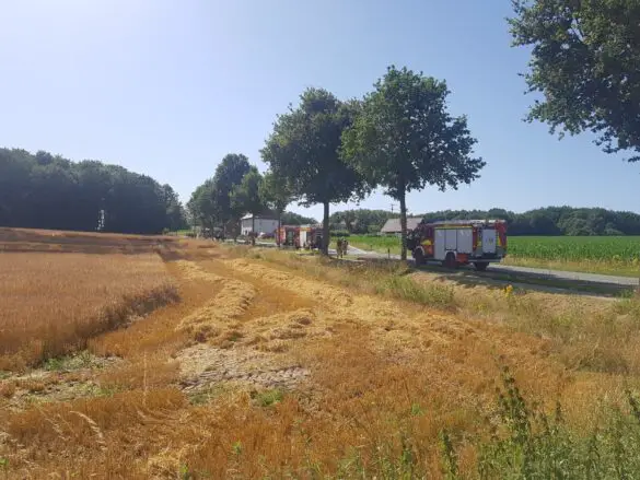 Feuer auf Stoppelfeld bedroht Bauernhof und Wald in Belm