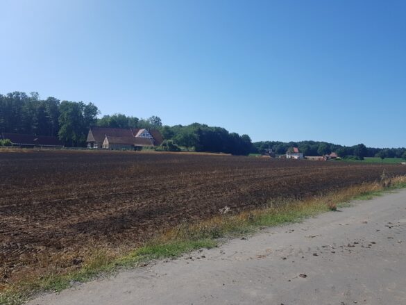 Feuer auf Stoppelfeld bedroht Bauernhof und Wald in Belm