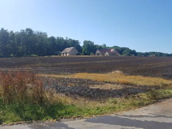 Feuer auf Stoppelfeld bedroht Bauernhof und Wald in Belm