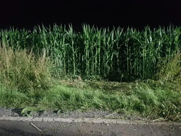 Autofahrer verunglückt tödlich bei Überschlag in Melle