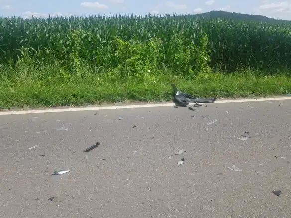 Reh und Motorroller kollidieren frontal in Melle