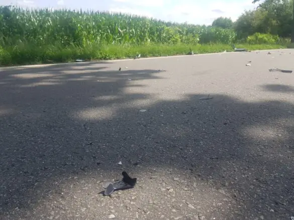 Reh und Motorroller kollidieren frontal in Melle