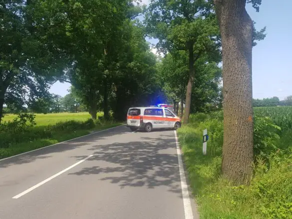 Reh und Motorroller kollidieren frontal in Melle