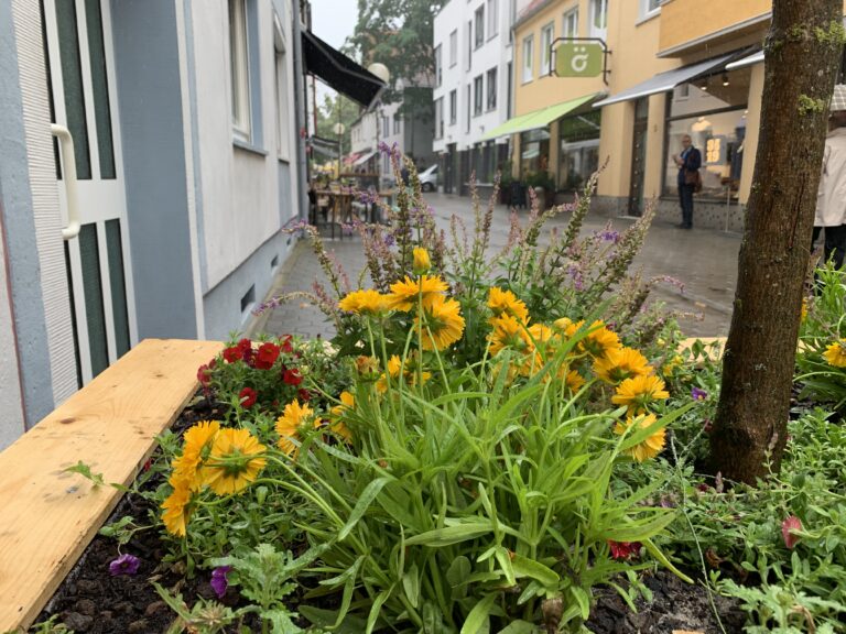 (Archivbild) Redlinger Straße / Foto: Guss