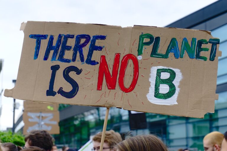 Klima, Klimaschutz, Klimastreik (Symbolbild)