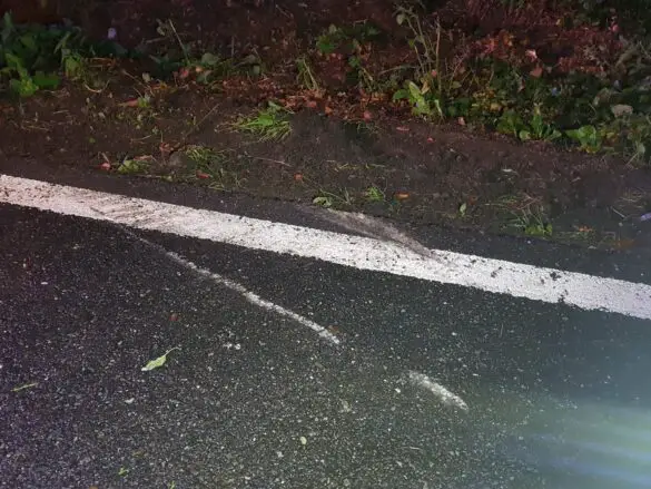 Auto landet auf dem Dach in Hagen a.T.W.