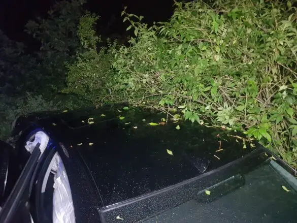 Trunkenheitsfahrt - Auto prallt in Melle gegen Mauer